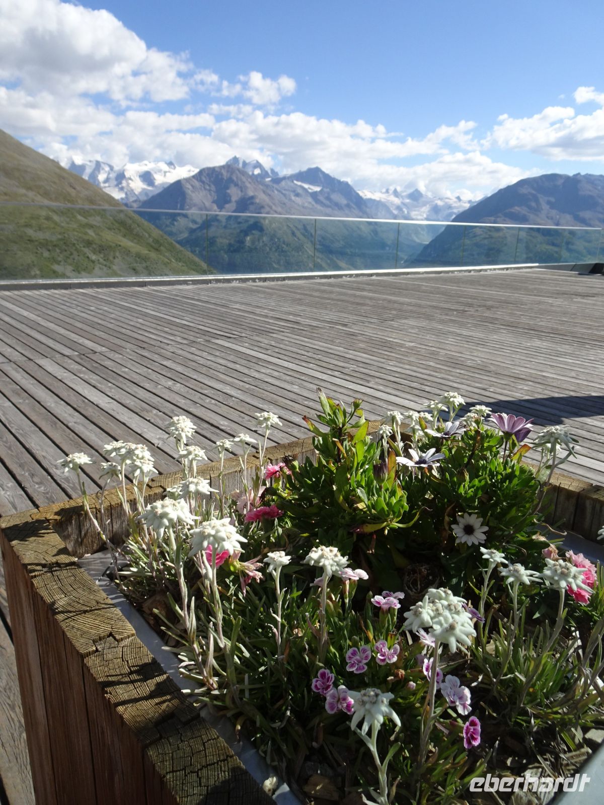 Bergidylle mit Piz Bernina