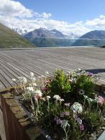 Bergidylle mit Piz Bernina