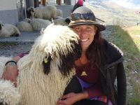 Meet the sheeps - mit Hirtin