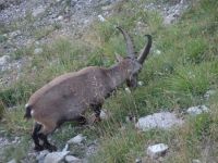 ... ließ sich von uns nicht stören.