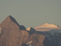 Blick in die Ferne - Jungfrau??