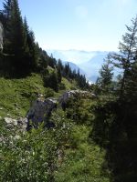 Talfahrt mit der Pilatus-Bahn