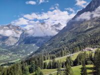 Talfahrt mit dem Eiger Express nach Grindelwald