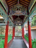 China Garten in Zürich