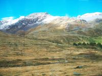 Fahrt mit dem Bernina-Express