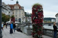 Blumenschmuck, im Hintergrund Schloß Gutsch