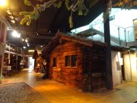 Zermatt, Matterhornmuseum