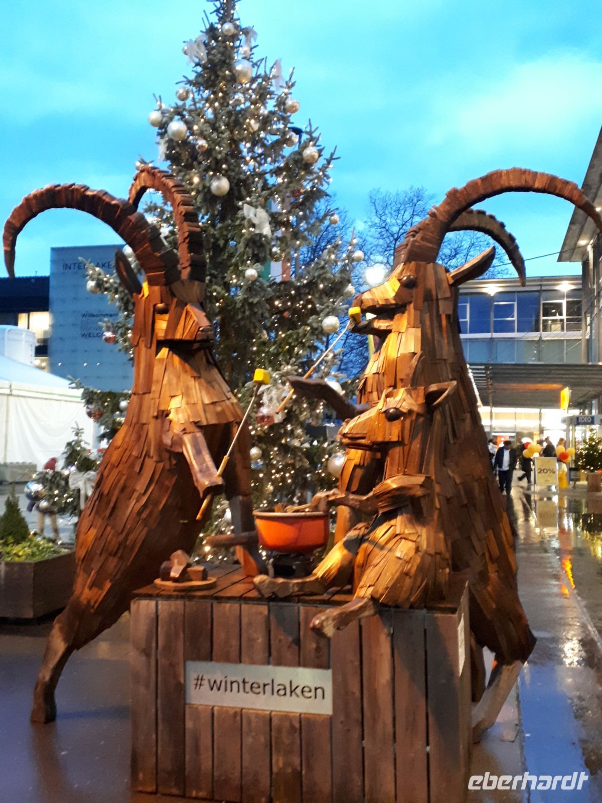074.1 Interlaken - Steinböcke beim Fondue