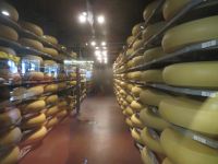 096 Emmental - Emmentaler Schaukäserei - Reifekeller