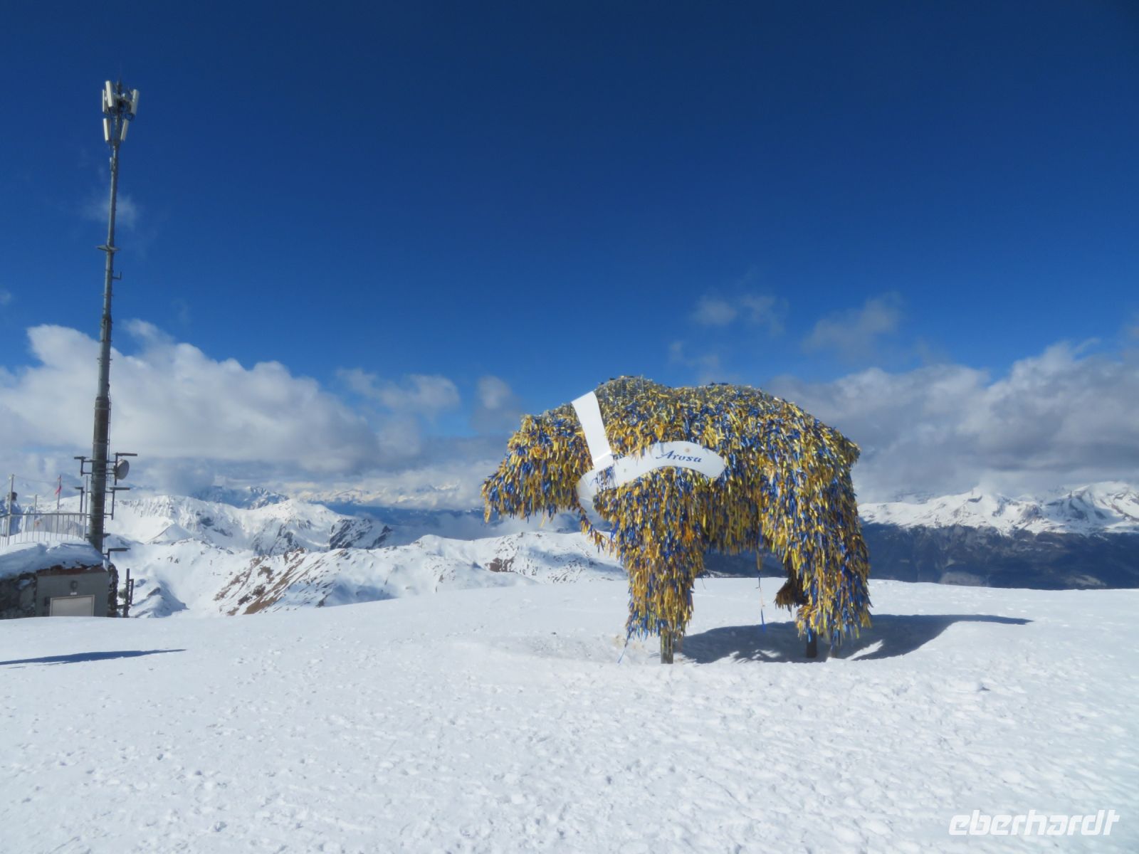 124  Arosa - auf dem Weisshorn 