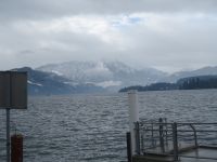 243 Blick über den Vierwaldstättersee