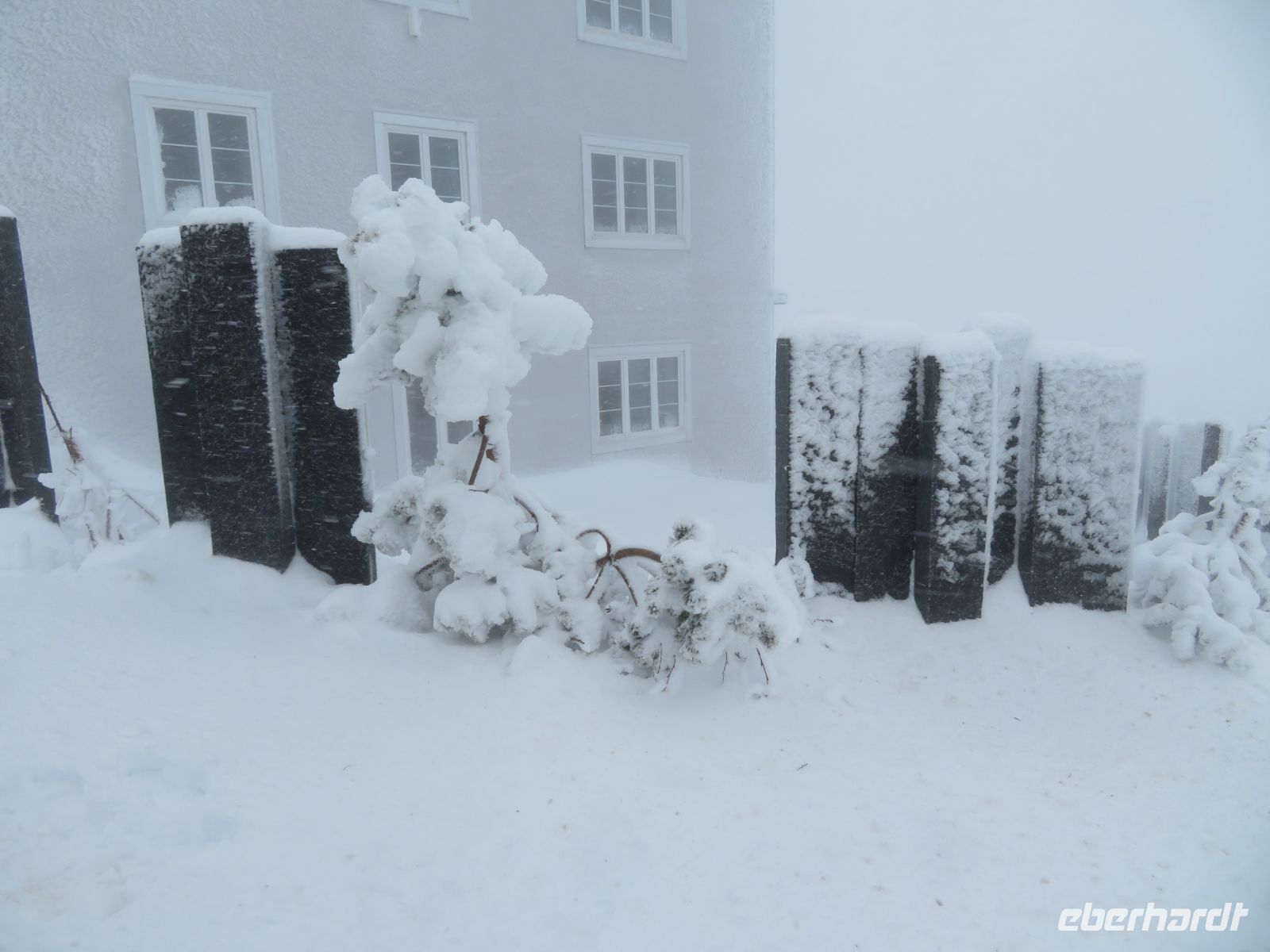 254 Auf der Rigi im Schneesturm