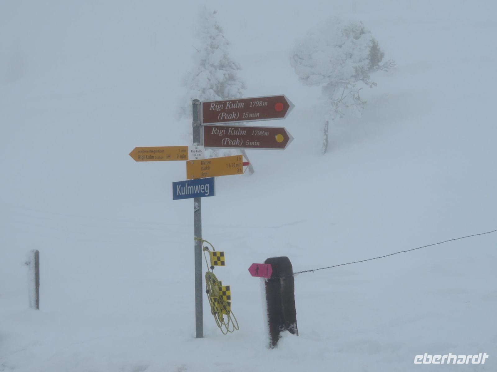 255 Auf der Rigi im Schneesturm
