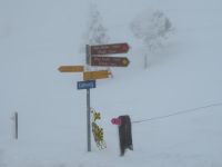 255 Auf der Rigi im Schneesturm