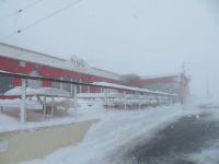 256 Auf der Rigi im Schneesturm