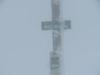 258 Auf der Rigi im Schneesturm