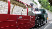 208 Fahrt mit der Brienzer Rothornbahn