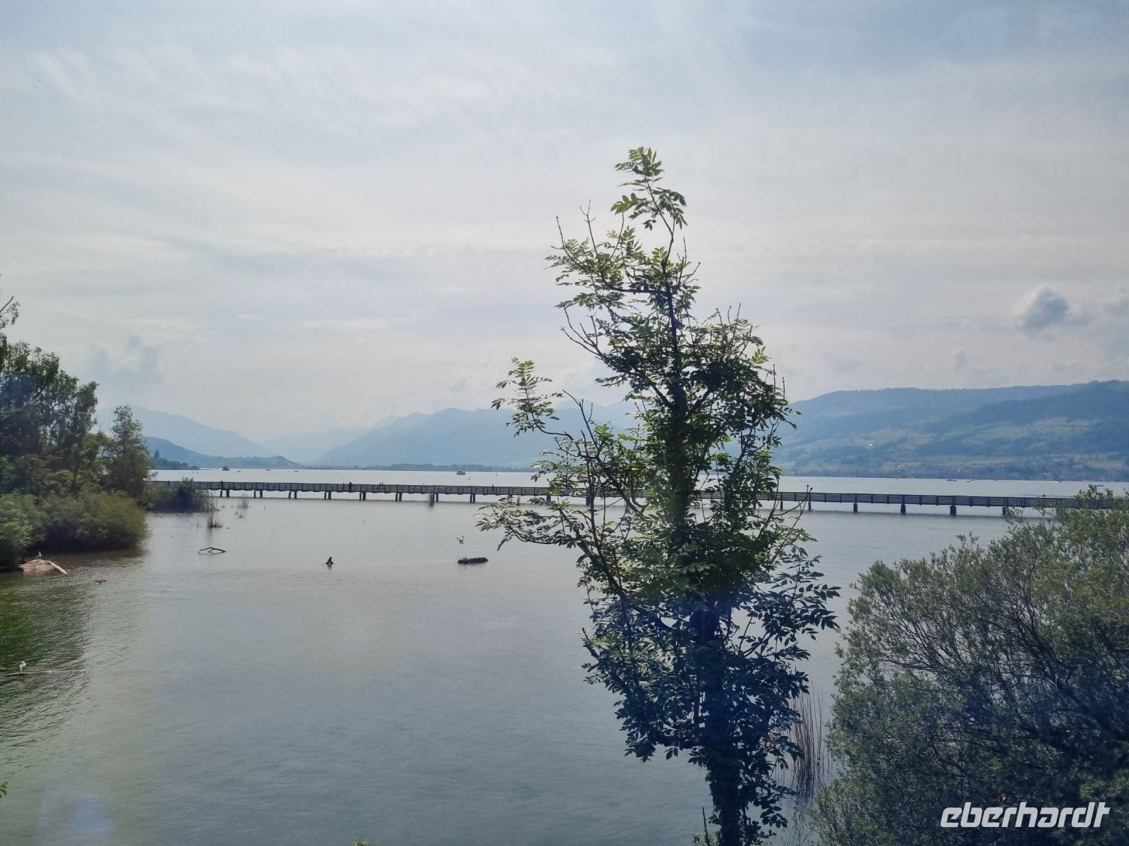 Fahrt mit dem Voralpen-Express... - Seedamm über den Zürichsee