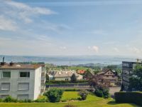 Fahrt mit dem Voralpen-Express... - Zürichsee