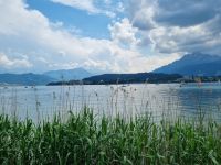 Vierwaldstättersee mit Blick zum Pilatus