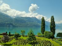 Fahrt mit dem Luzern-Interlaken Express... - Brienzer See