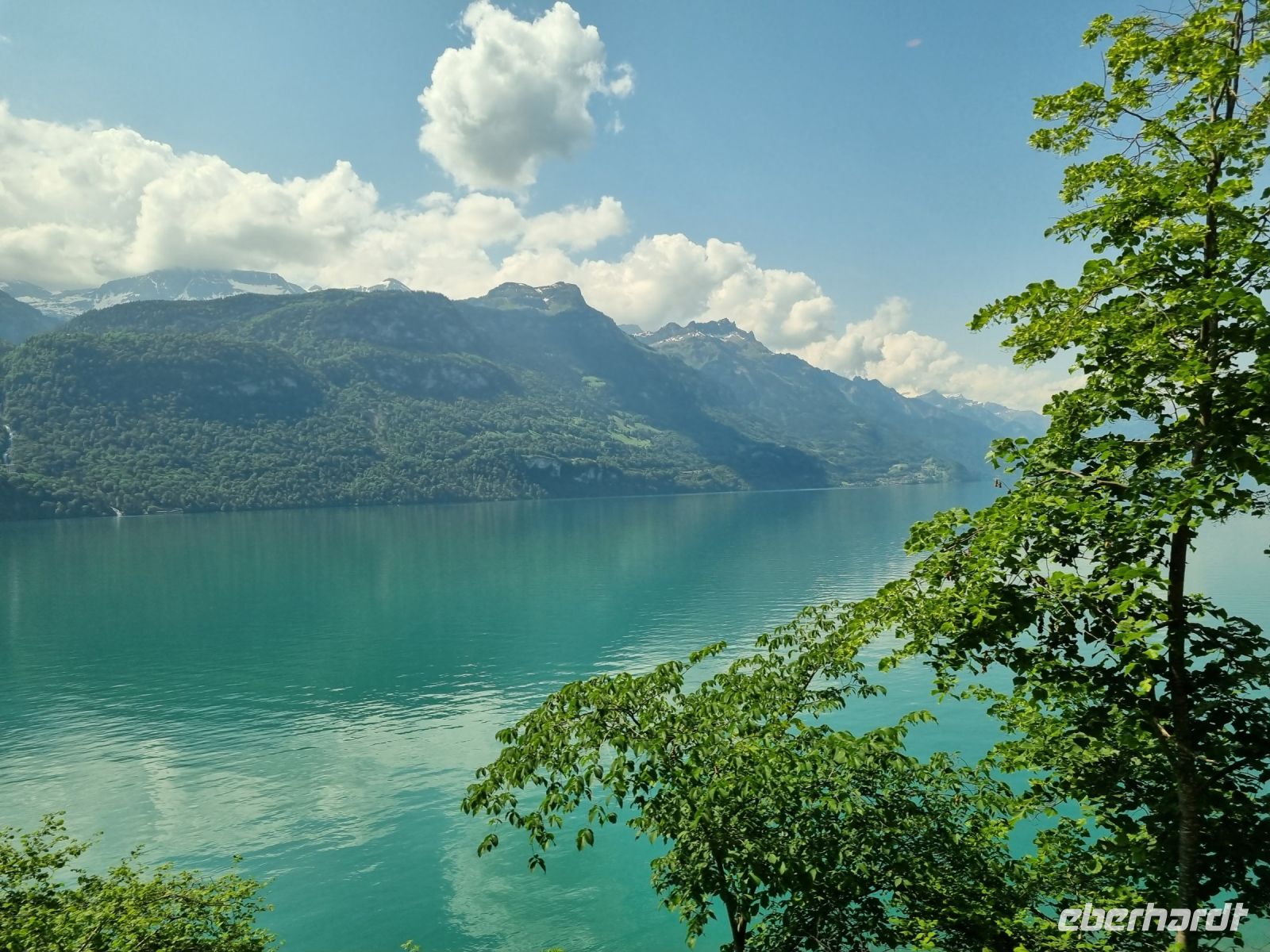 Fahrt mit dem Luzern-Interlaken Express... - Brienzer See