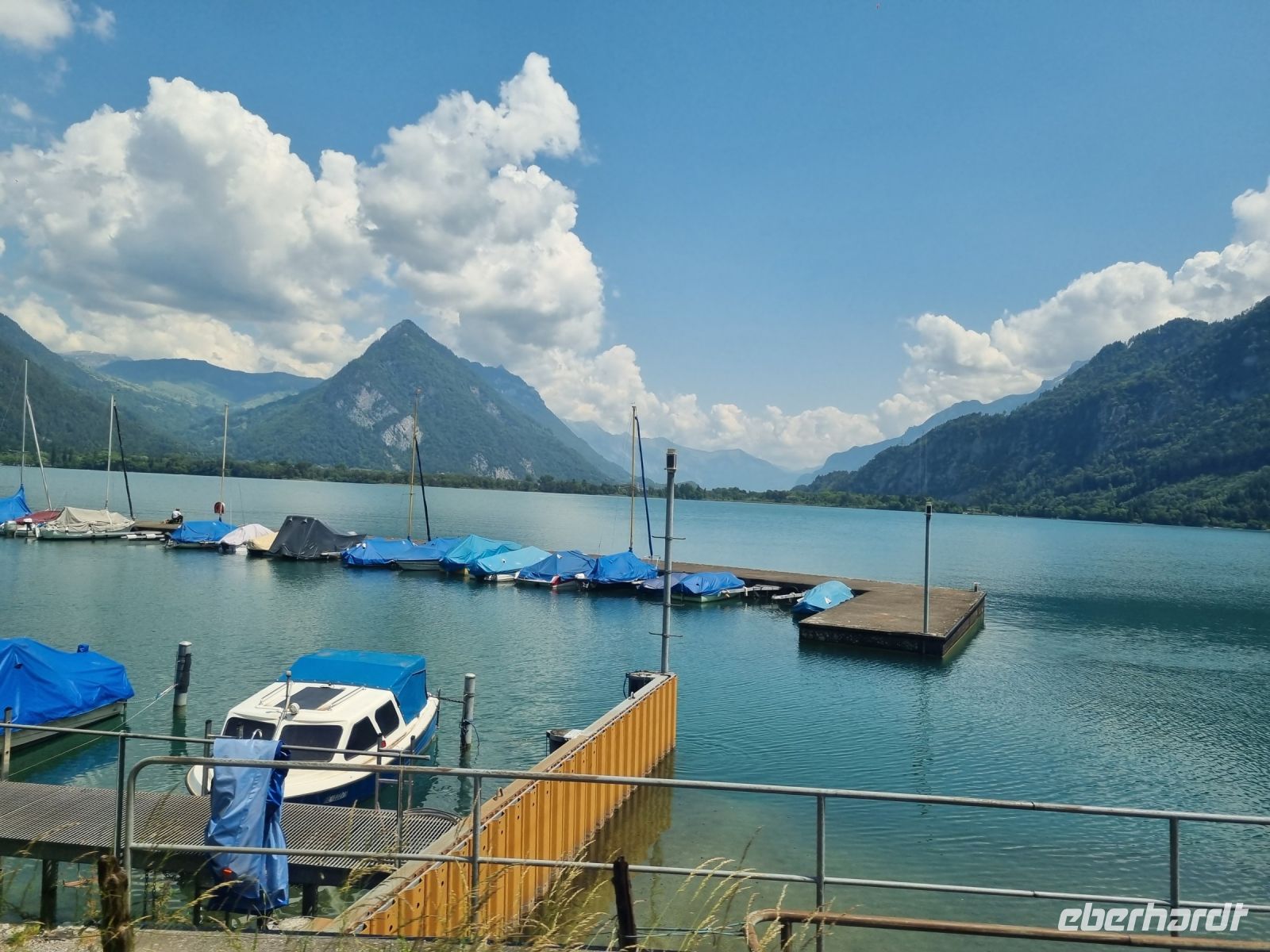 Zugfahrt von Interlaken nach Spiez - Thuner See