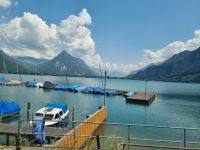 Zugfahrt von Interlaken nach Spiez - Thuner See