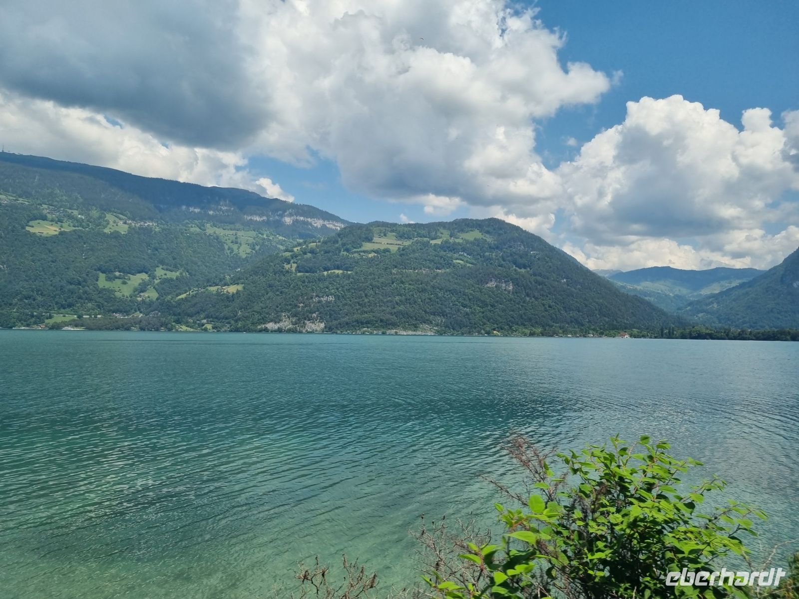 Zugfahrt von Interlaken nach Spiez - Thuner See