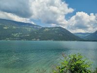 Zugfahrt von Interlaken nach Spiez - Thuner See