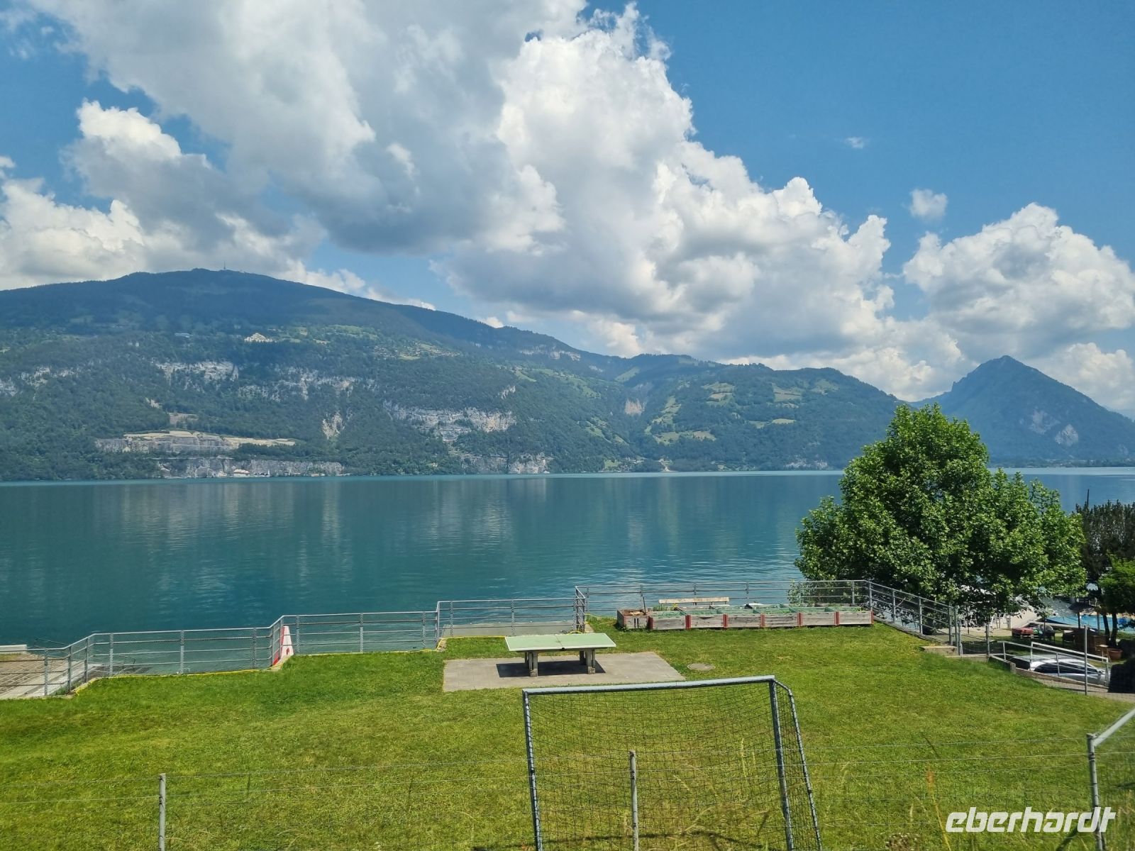 Zugfahrt von Interlaken nach Spiez - Thuner See