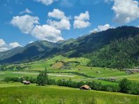 Fahrt mit dem GoldenPass Panoramic von Zweisimmen nach Montreux...