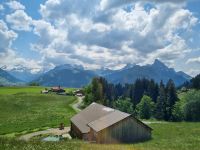Fahrt mit dem GoldenPass Panoramic von Zweisimmen nach Montreux...