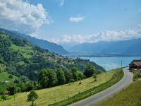 Fahrt mit dem GoldenPass Panoramic von Zweisimmen nach Montreux... - Blick zum Genfer See