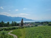 Fahrt mit dem GoldenPass Panoramic von Zweisimmen nach Montreux... - Blick zum Genfer See