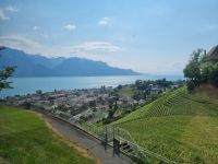 Fahrt mit dem GoldenPass Panoramic von Zweisimmen nach Montreux... - Blick zum Genfer See