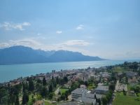 Fahrt mit dem GoldenPass Panoramic von Zweisimmen nach Montreux... - Blick zum Genfer See