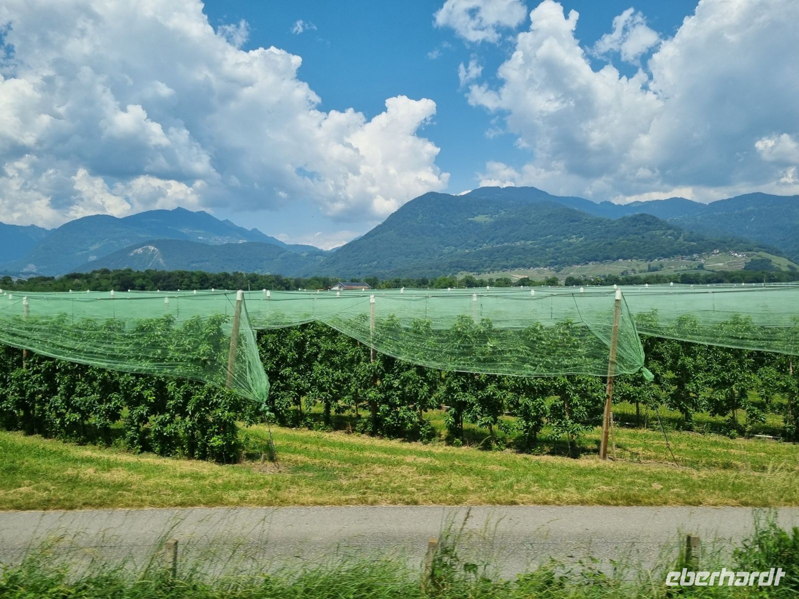 Zugfahrt von Lausanne nach Visp - Rhonetal 