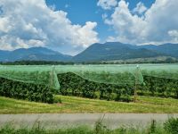 Zugfahrt von Lausanne nach Visp - Rhonetal 