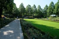 Im Rosengarten &ndash; &copy; Andreas Kunzmann (Eberhardt TRAVEL)