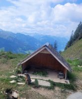 Murmeltier vom Stanserhorn