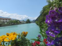 087 Interlaken - Blick über die Aare zum Niesen