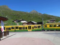125 Ausflug zum Jungfraujoch - Kleine Scheidegg - Wengeralpbahn