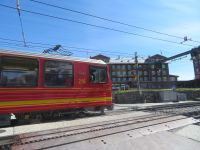 126 Ausflug zum Jungfraujoch - Kleine Scheidegg - Jungfraubahn