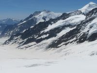 141 Jungfraujoch -Blick über den Aletschgletscher 