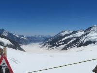 144 Jungfraujoch -Blick über den Aletschgletscher in die Walliser Alpen