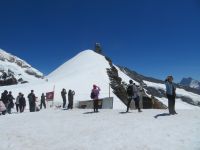 155 Jungfraujoch - auf dem Plateau - Blick zur Sphinx