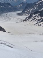 158 Jungfraujoch - auf dem Aletschgletscher liegt wieder Saharastaub