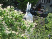 387 Zürich -  Denkmal für Zwingli