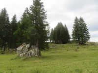 564 Schwägalp - Wanderung durch den Erlebnis Naturpark